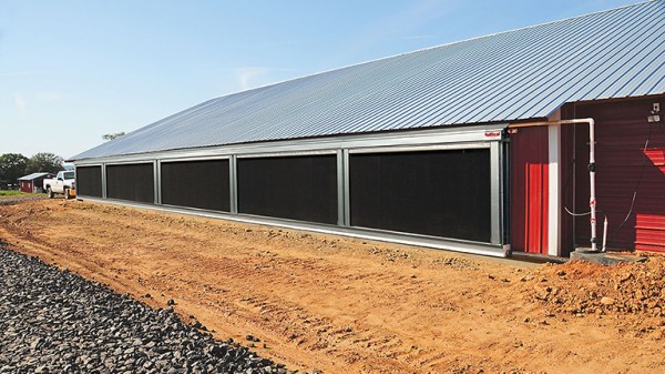 4 Easy Tips to Enhance Efficiency in Your Poultry Farming Operation