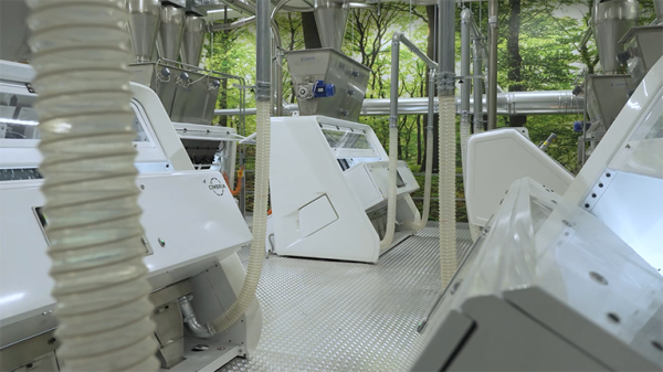 What is Optical Sorting & How Does It Work?